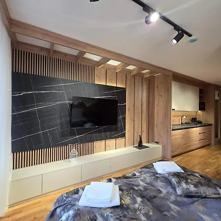 A4 7 Privatni U Aparthotelu Vucko *